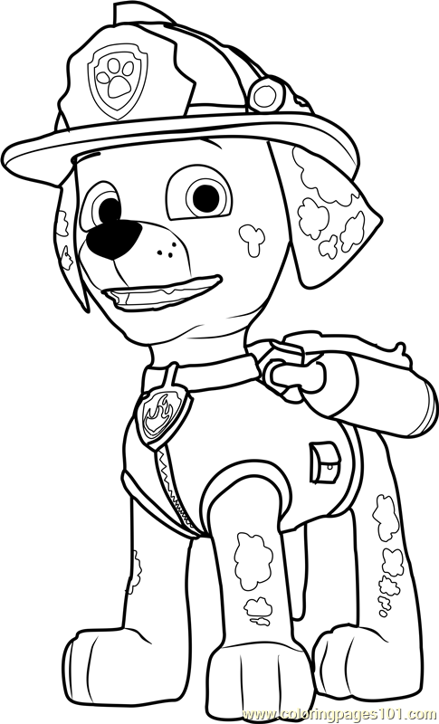 paw patrol coloring pages at getcolorings  free