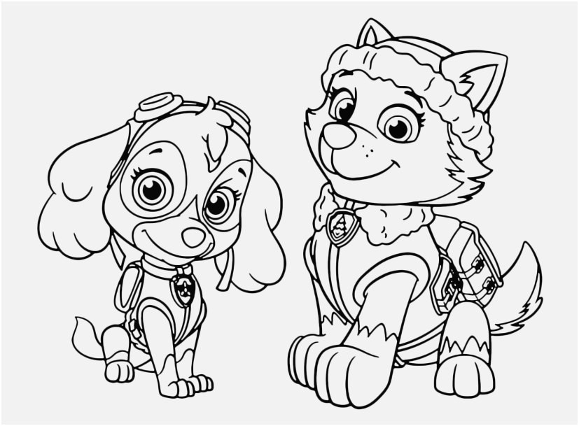 827x609 Paw Patrol Coloring Pages Photographs Sky Everest Patrol Free