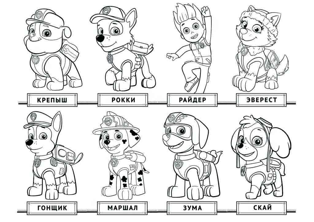 Paw Patrol Funny Coloring Game Printable Coloring Paw Patrol 1024x724 Paw Patrol Funny Coloring Game Printable Coloring Paw Patrol