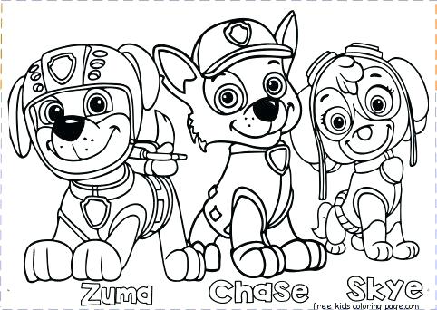 482x342 Color Pages For Free Free Paw Patrol Printable Coloring Pages Paw