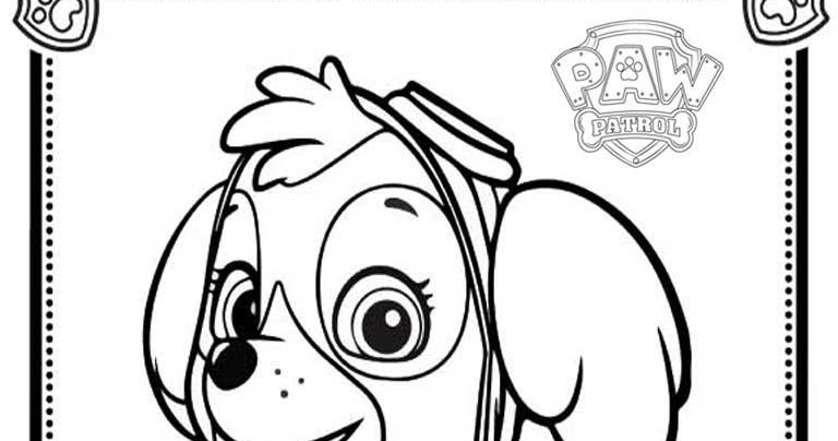 Patrol Coloring Pages Sky 768x404 Patrol Coloring Pages Sky