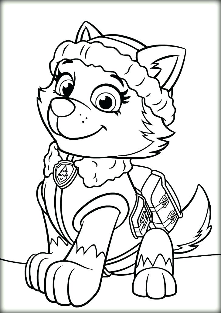 Skye Paw Patrol Coloring Sheets Pages With Wallpapers Full 728x1033 Skye Paw Patrol Coloring Sheets Pages With Wallpapers Full