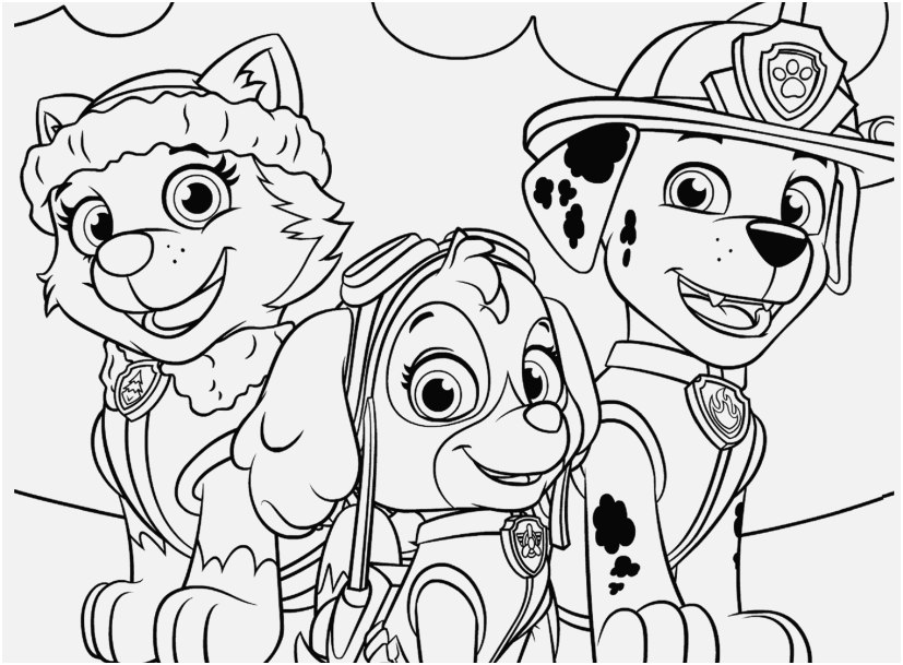 Paw Patrol Coloring Pages Picture Everest Marshall And Chase Paw 827x609 Paw Patrol Coloring Pages Picture Everest Marshall And Chase Paw