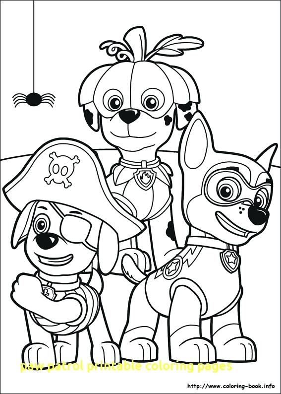 Paw Patrol Pictures To Color Also Paw Patrol Printable Coloring 567x794 Paw Patrol Pictures To Color Also Paw Patrol Printable Coloring
