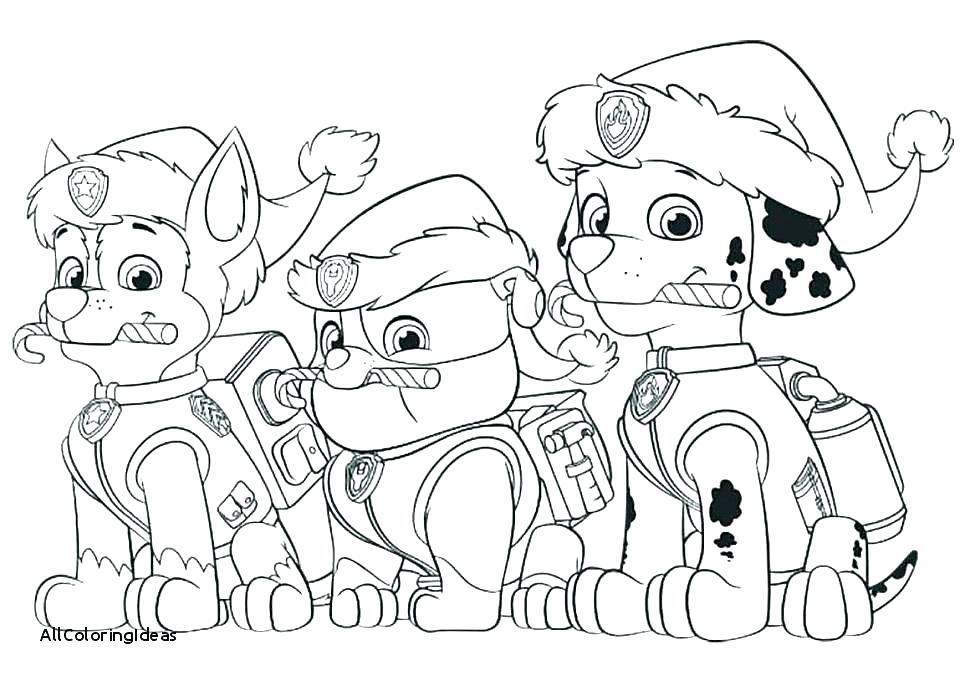 Paw Patrol Free Coloring Pages Printable Paw Patrol Printable 970x686 Paw Patrol Free Coloring Pages Printable Paw Patrol Printable