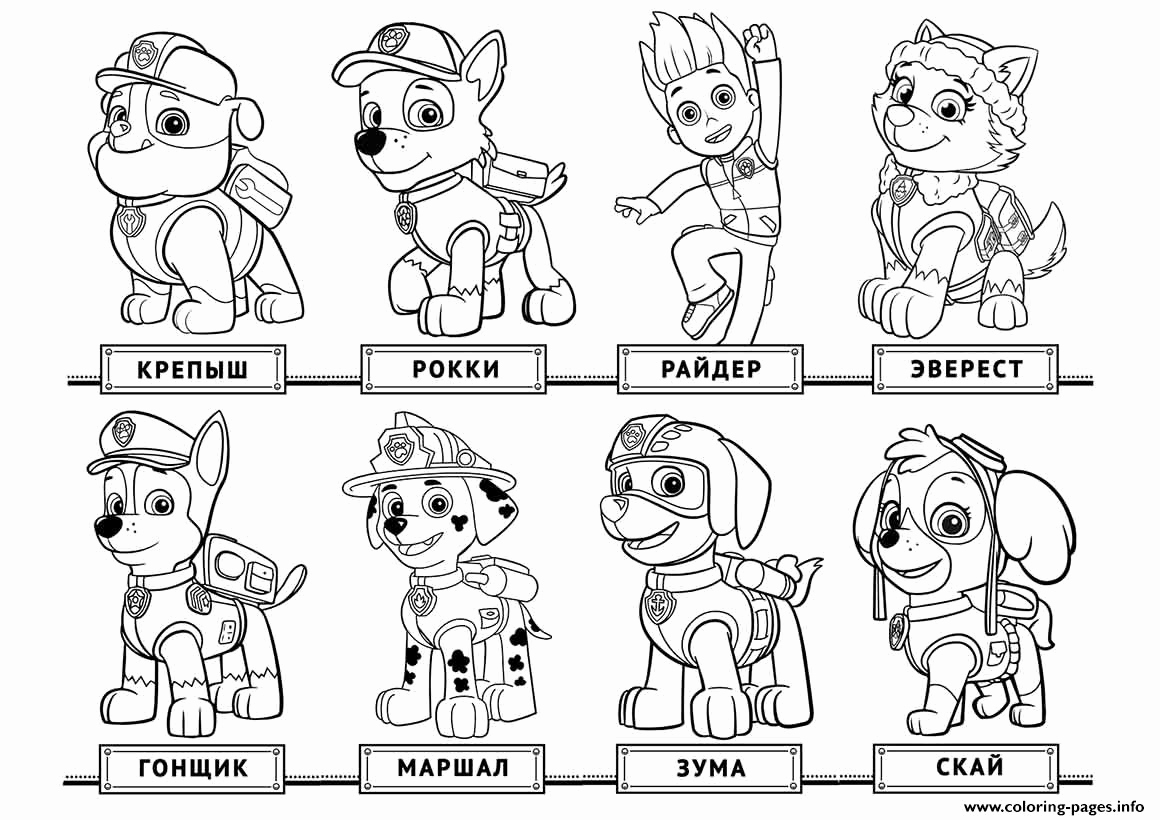 Paw Patrol Printable Coloring Pages Photograph Paw Patrol Coloring 1160x820 Paw Patrol Printable Coloring Pages Photograph Paw Patrol Coloring