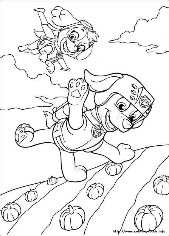 Colouring Page Thema Paw Patrol Paw Patrol, Adult 567x794 Colouring Page Thema Paw Patrol Paw Patrol, Adult