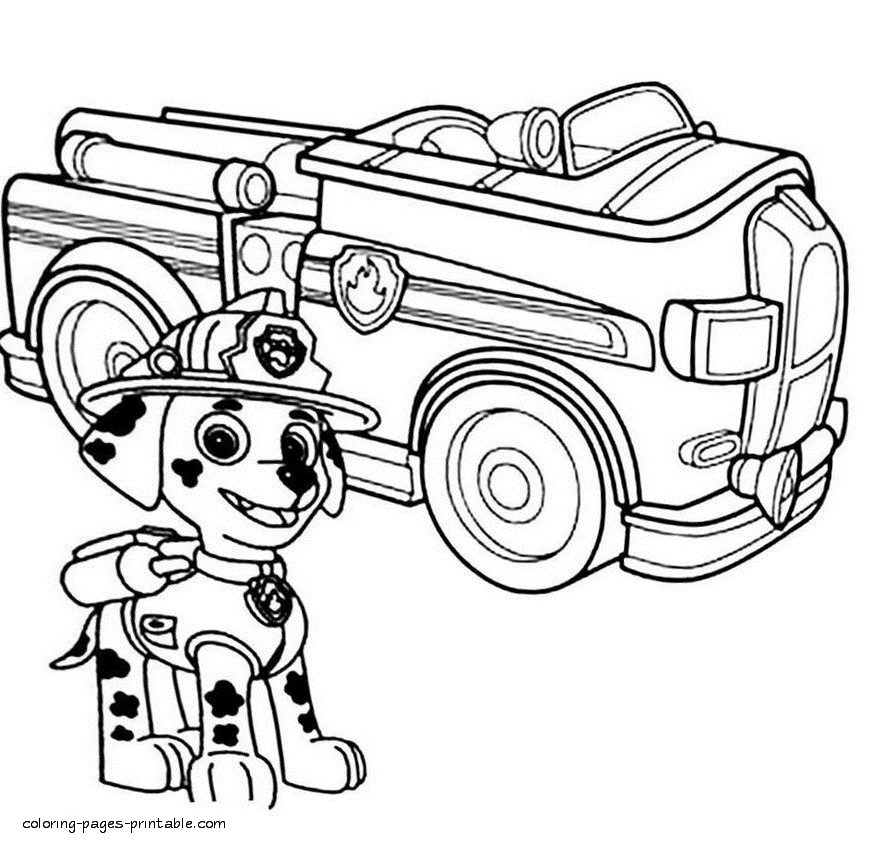 Interesting Decoration Marshall Paw Patrol Coloring Page Fire 895x843 Interesting Decoration Marshall Paw Patrol Coloring Page Fire