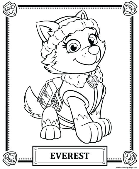 474x577 Paw Patrol Coloriage Bizneme Zuma Rocky Coloring Page Fashionzen