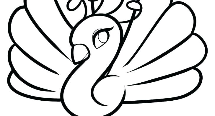 Coloring Pages Of Peacocks Coloring Pages Of Peacocks Coloring 728x393 Coloring Pages Of Peacocks Coloring Pages Of Peacocks Coloring