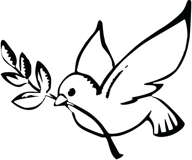 736x613 Dove Coloring Page
