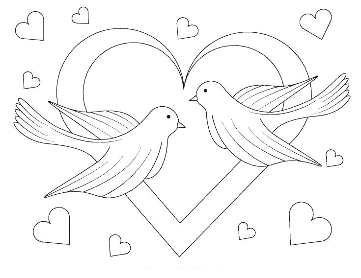 735x568 Dove Coloring Pages Shippa.co