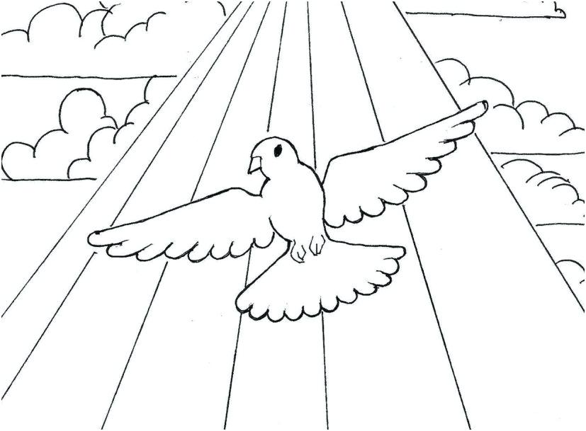 Peace Dove Coloring Page at GetColorings.com | Free printable colorings ...