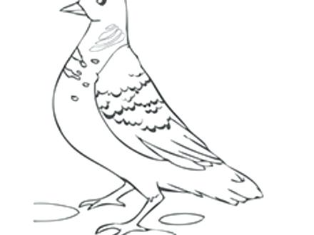 440x330 Dove Coloring Page Dove Coloring Page Dove Coloring Pages Dove