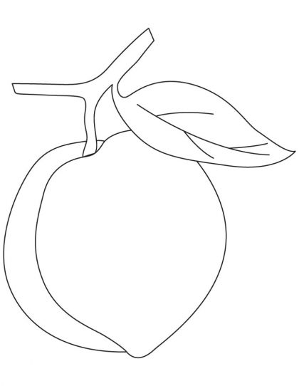 Peach Coloring Page Download Free Peach Coloring Page For Kids 420x542 Peach Coloring Page Download Free Peach Coloring Page For Kids