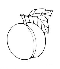 Peaches Coloring Pages Picture Color Udin 209x242 Peaches Coloring Pages Picture Color Udin