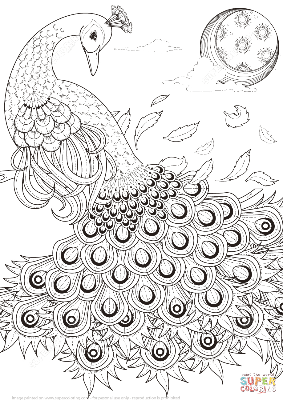 919x1300 Informative Advanced Peacock Coloring Pages Gr
