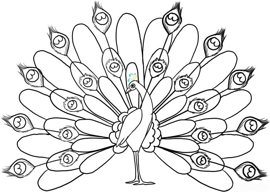 916x650 Peacock Coloring Page Awesome Free Printable Peacock Coloring