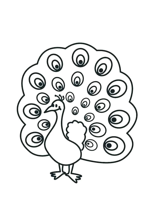 600x847 Beautiful Peacock Coloring Pages
