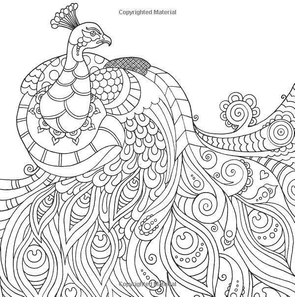 Peacock Coloring Pages For Adults