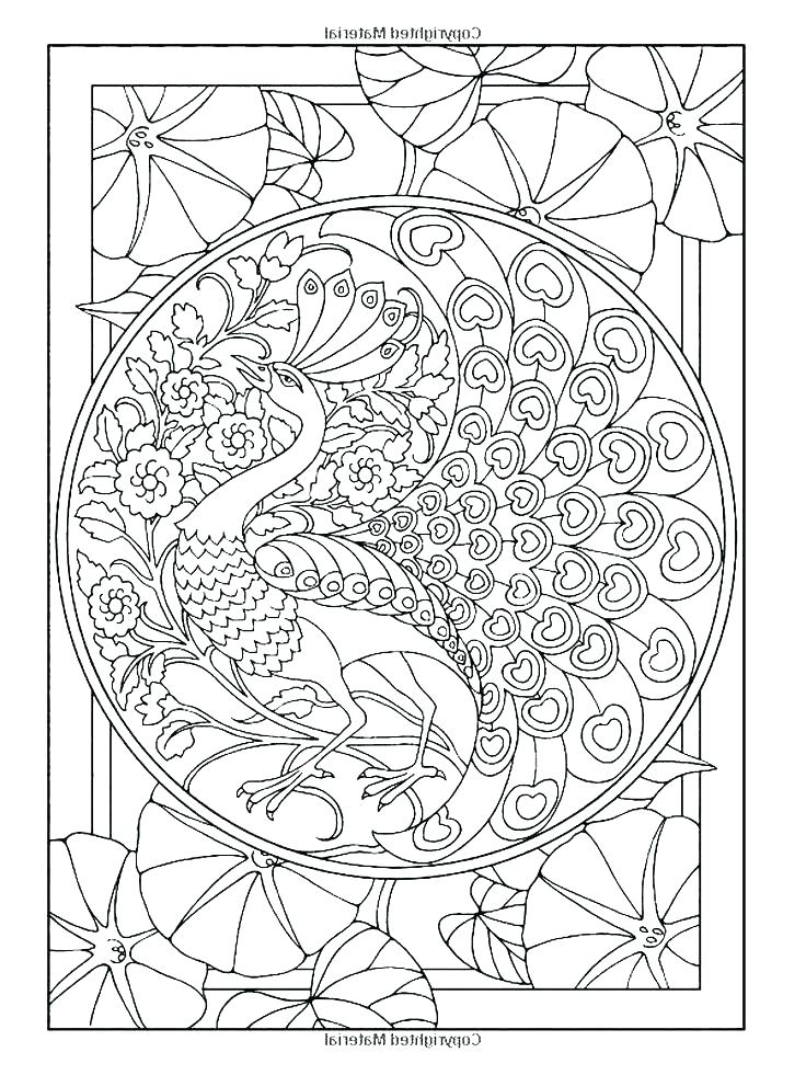 736x981 Peacock Coloring Book Peacock Coloring Book Together With Peacock
