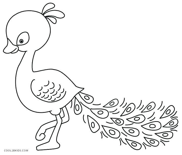736x628 Peacock Coloring Pages Peacock Coloring Book Plus Peacock Coloring