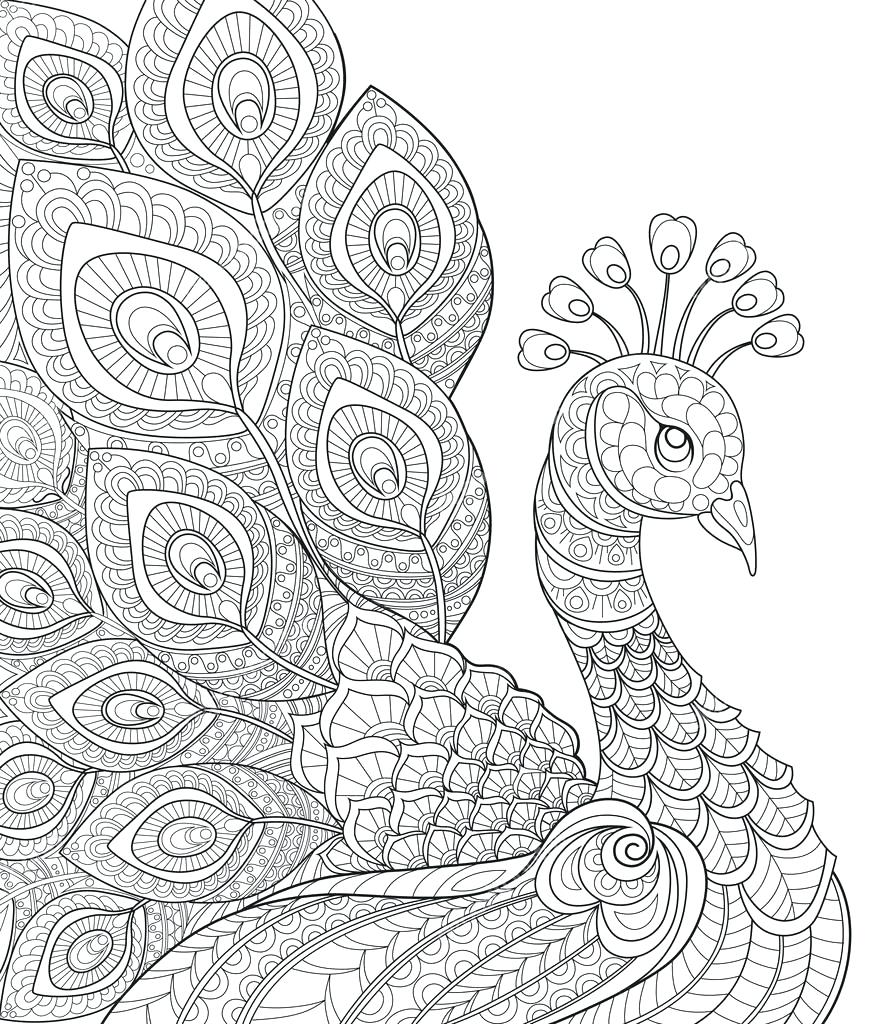 896x1024 Amazing Coloring Pages Of Peacocks 10