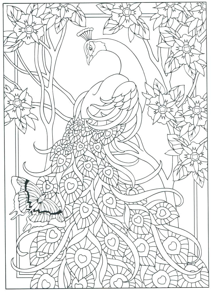 736x1019 Peacock Images For Coloring Peacock Color Page Peacock Coloring