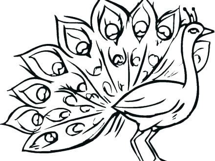440x330 Peacock Colouring Pages