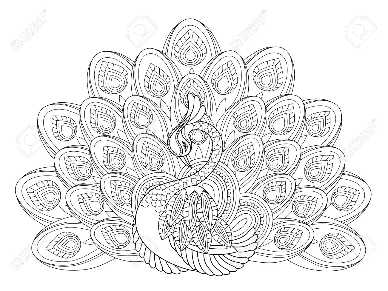 1300x975 Emerging Peacock Coloring Sheet Pages For Adul