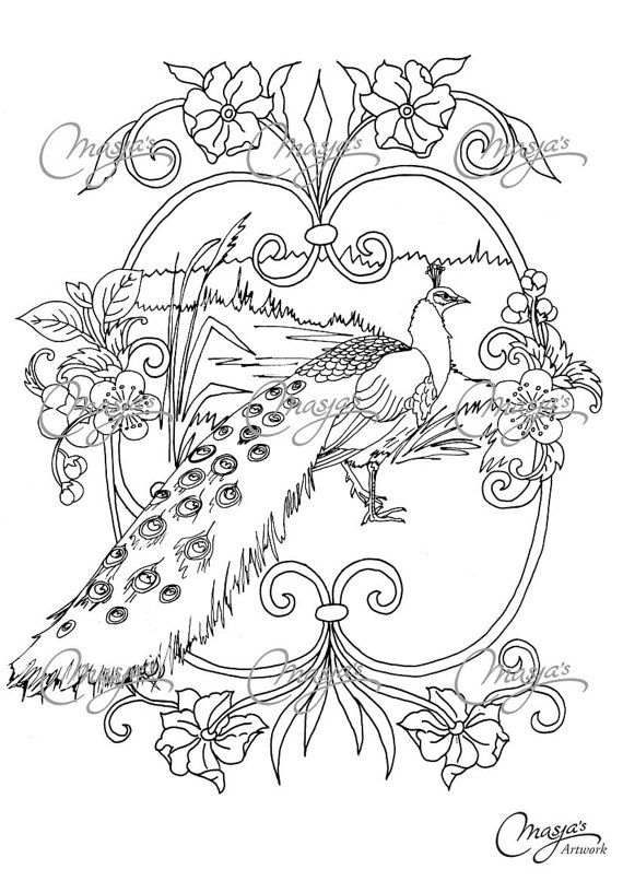 570x806 Masjas Peacock Coloring Page Made By Masja Van Den Berg