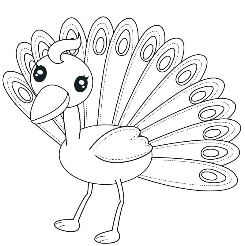 Peacock Color Pictures Kids Coloring Peacock Coloring Sheet 800x806 Peacock Color Pictures Kids Coloring Peacock Coloring Sheet