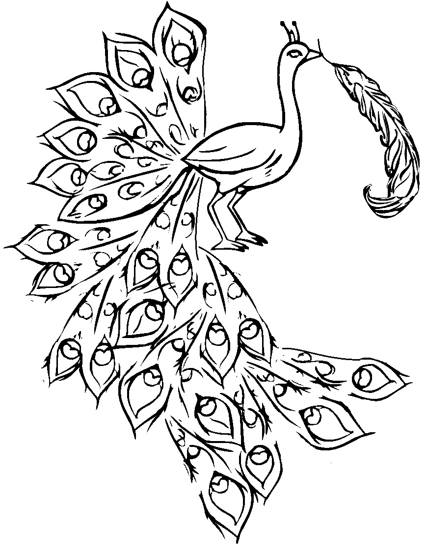 Peacock Coloring Pages 360coloringpages 870x1117 Peacock Coloring Pages 360coloringpages