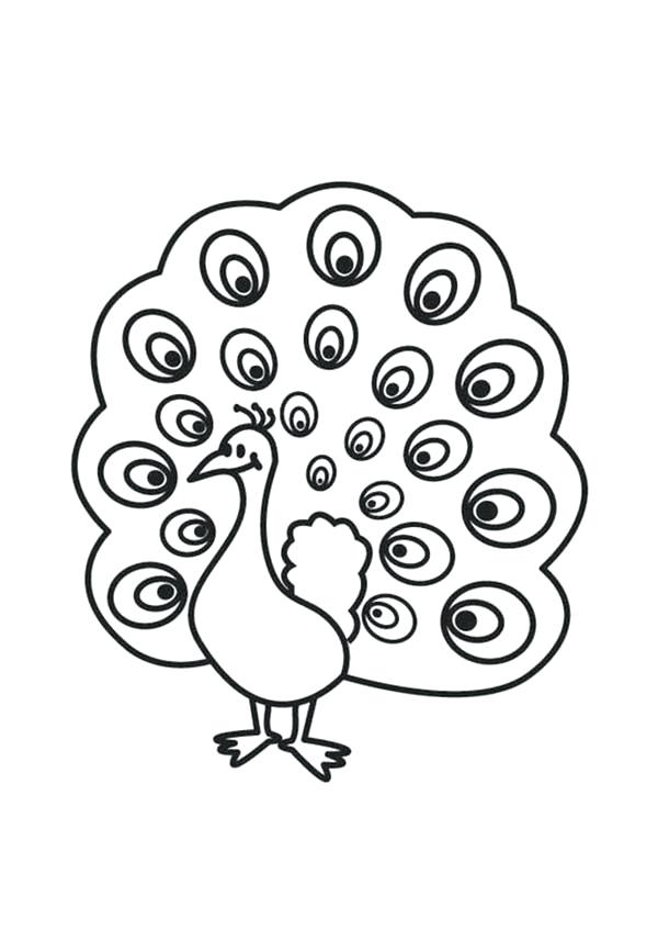 Peacock Coloring Pages Coloring Pages Printable Coloring Page 600x847 Peacock Coloring Pages Coloring Pages Printable Coloring Page