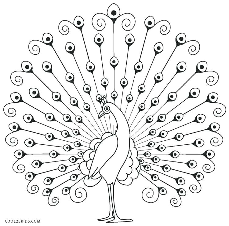 Peacock Coloring Pages New Peacock Coloring Pages With Additional 750x739 Peacock Coloring Pages New Peacock Coloring Pages With Additional
