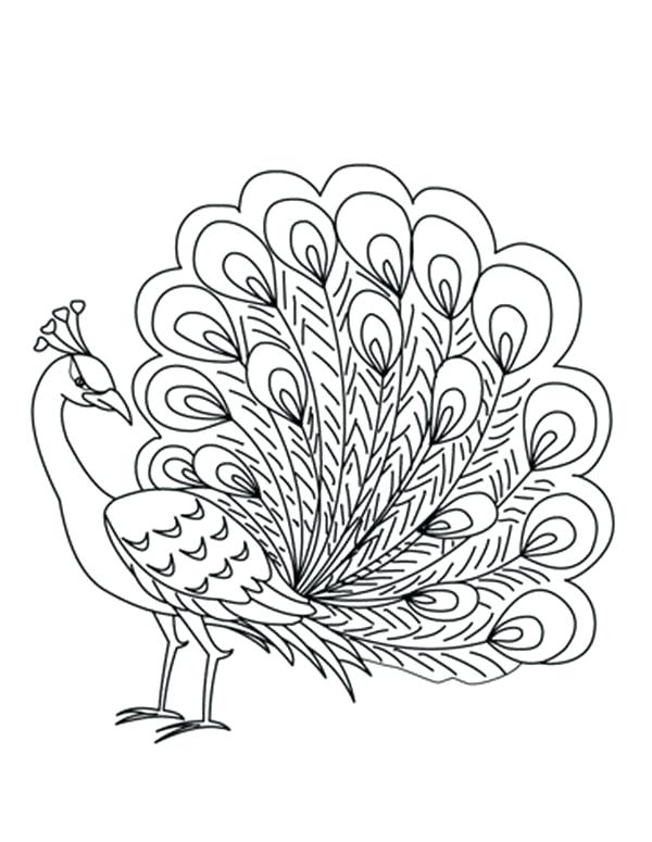 Peacock Coloring Pages Printable Peacock Coloring Pages Realistic 600x775 Peacock Coloring Pages Printable Peacock Coloring Pages Realistic