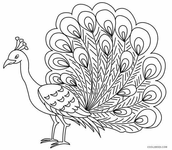 Peacock Colouring Picture Printable Peacock Coloring Pages 600x524 Peacock Colouring Picture Printable Peacock Coloring Pages