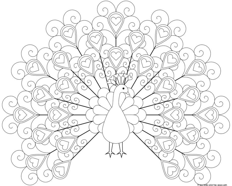 Printable Peacock Coloring Pages 920x736 Printable Peacock Coloring Pages