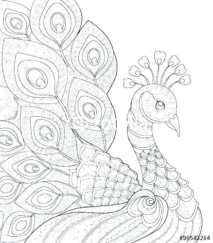 Coloring Page Peacock Impair.co 438x500 Coloring Page Peacock Impair.co