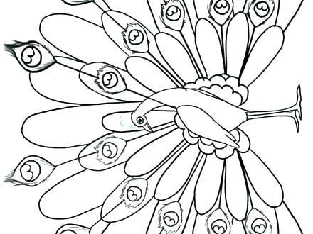 Coloring Peacock 440x330 Coloring Peacock