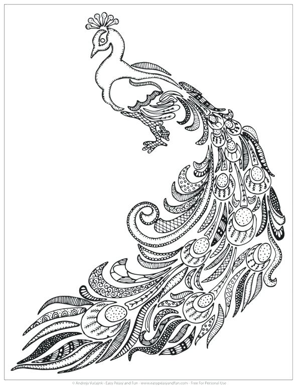 590x772 Peacock Coloring Pages Peacock Coloring Es For Adults Free