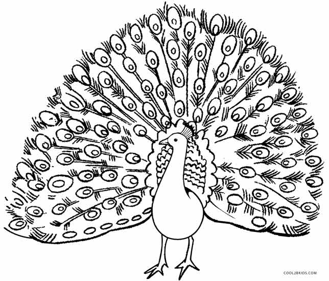 644x550 Peacock Coloring Pages Peacock Coloring Pages Printable Peacock