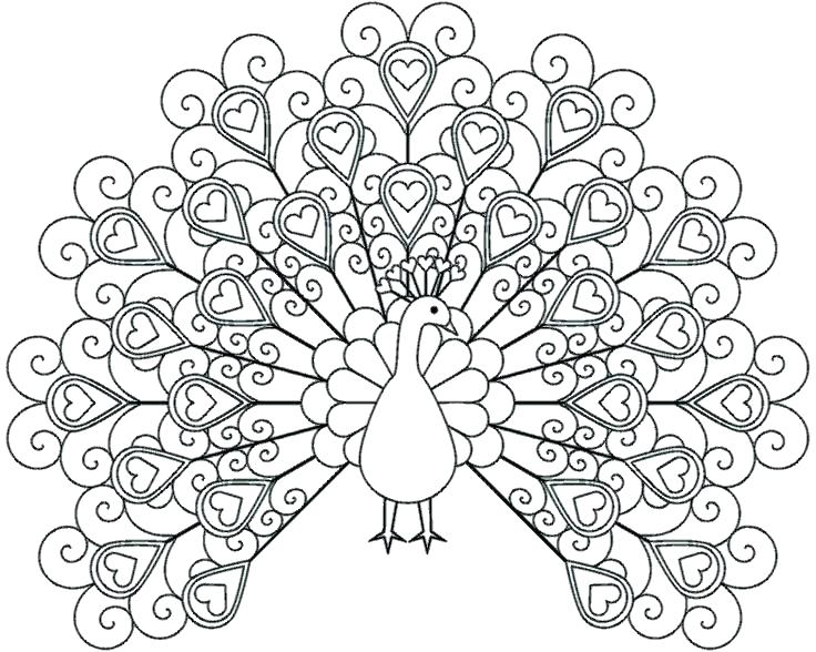 736x588 Peacock Coloring Pages Printable Cute Elegant Girls Color About