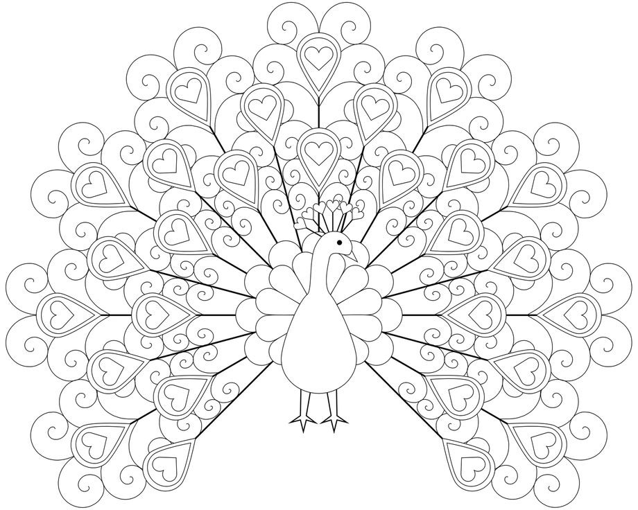 920x736 Printable Animal Peacock Coloring Pages