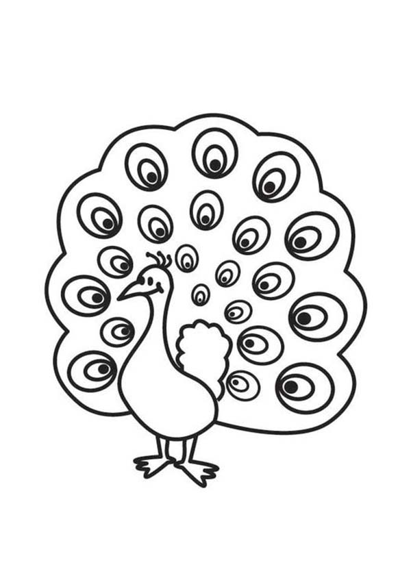 600x847 Peacock Coloring Pages Free Printable Coloring Sheets For Kids (1