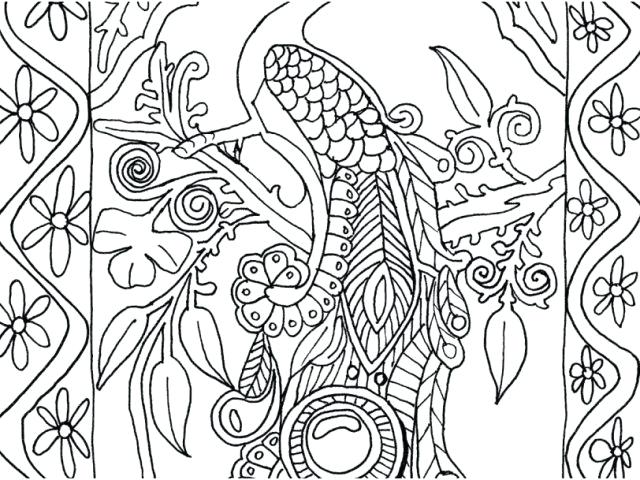 640x480 Peacock Coloring Pages To Print