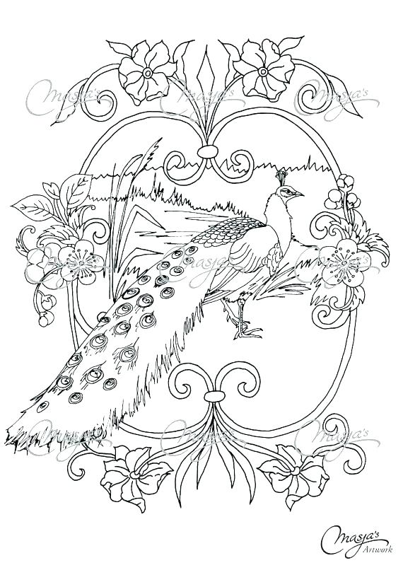 570x806 Peacock Coloring Pictures