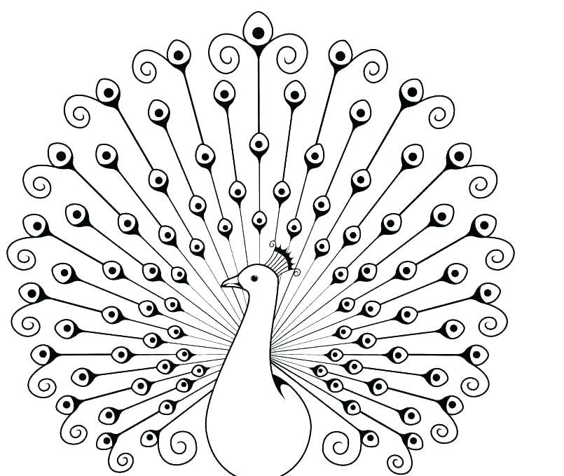 805x679 Coloring Peacock Peacock Coloring Book And Coloring Pages