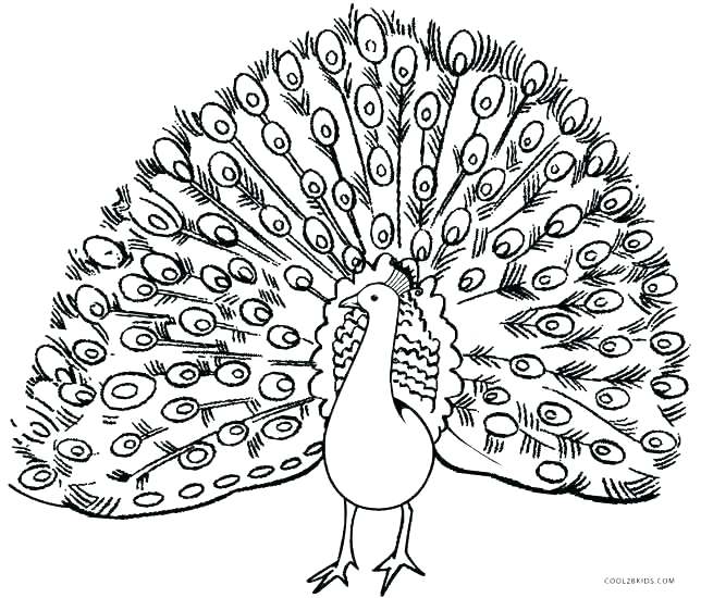 644x550 Peacock Coloring Pages Peacock Coloring Page Peacock Coloring