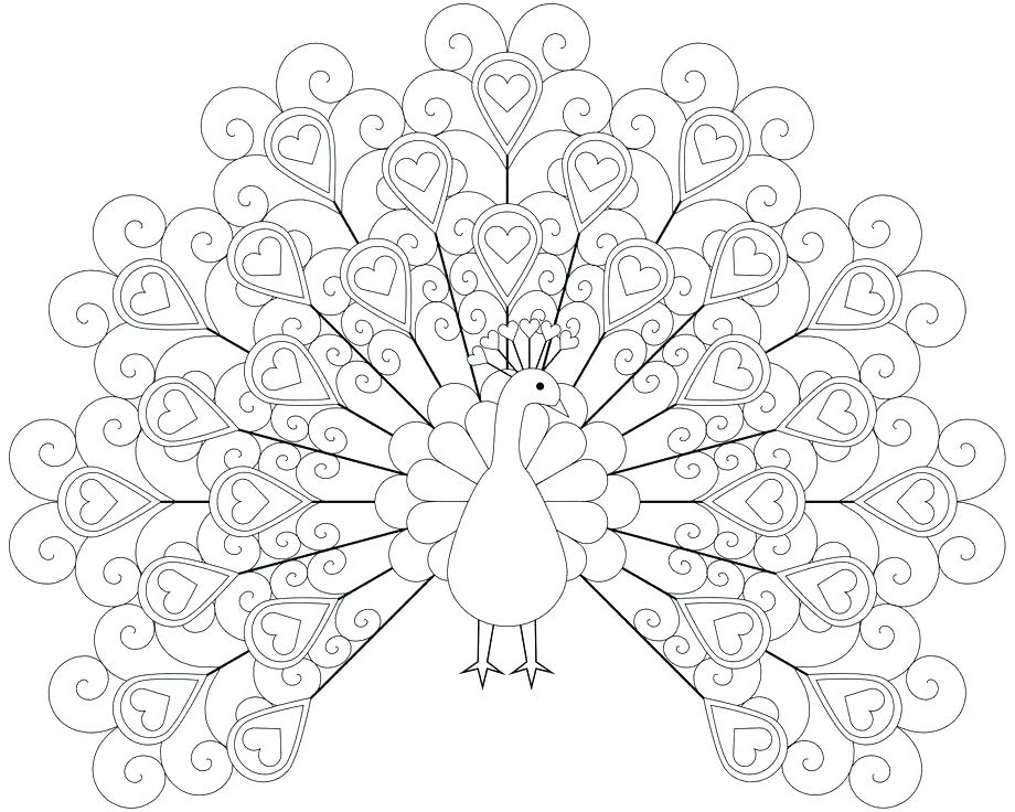 920x736 Peacock Pictures Coloring Pages Peacock Coloring Page Printable
